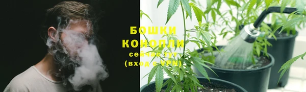 мяу мяу мука Губаха