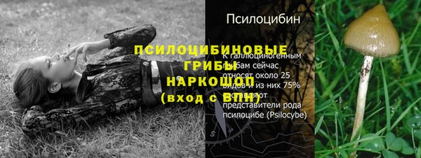 тгк Нязепетровск
