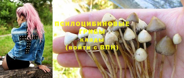 прущая мука Нягань