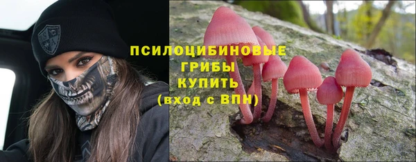 прущая мука Няндома