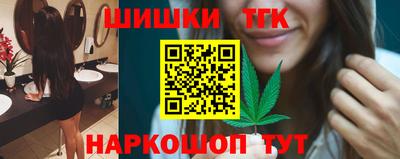 индика Можга
