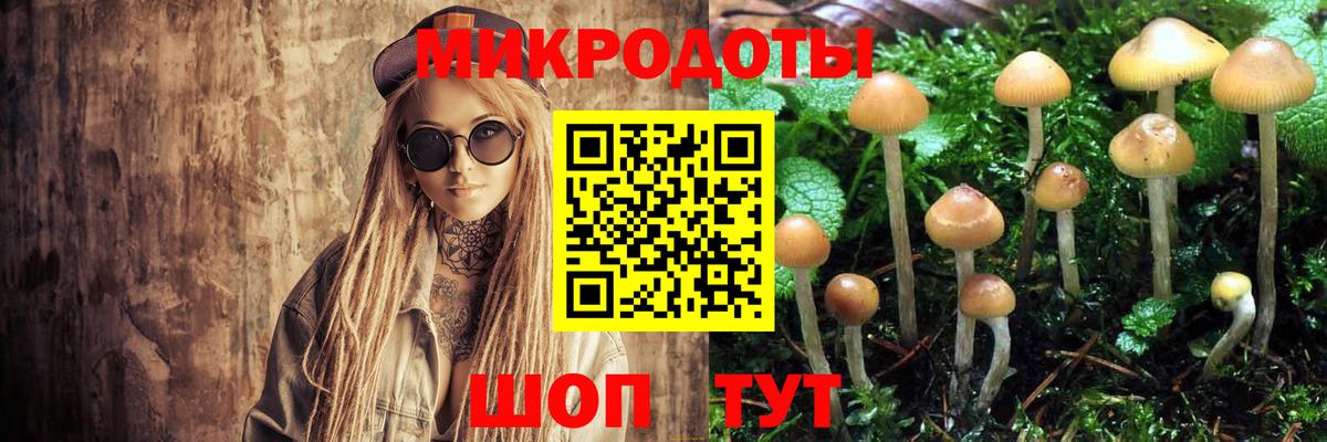 Галлюциногенные грибы прущие грибы Россошь