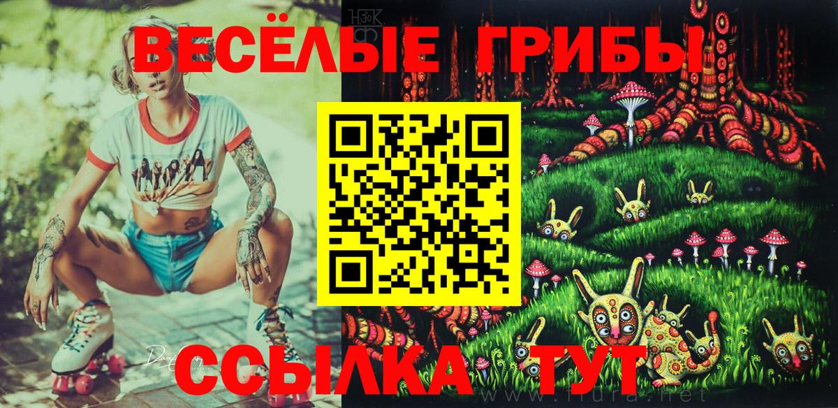 Псилоцибиновые грибы MAGIC MUSHROOMS  Галлюциногенные грибы ЛСД  где купить наркоту  Россошь  Вход с VPN 