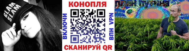 Бошки марихуана планчик  сайты даркнета официальный сайт  Россошь 